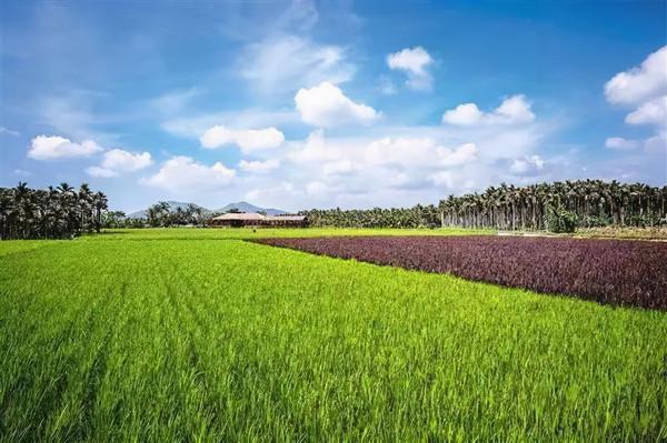 預測：農資價格拐點將出現在2022年7月份