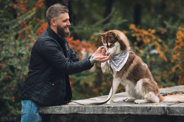 罕見！印度一個女嬰被流浪狗“撫養”，“狗孩”究竟靠不靠譜？