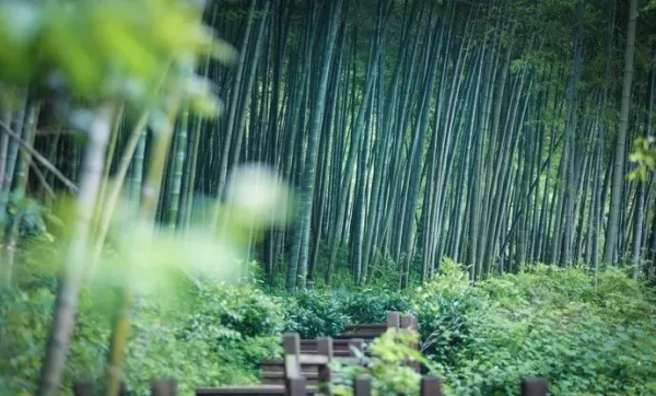 國內最慵懶的10座城市，累了煩了，就找個地方小住幾日吧