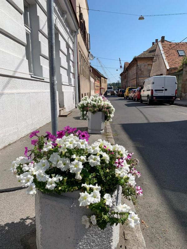 2019暑假塞爾維亞、波黑之旅（2）