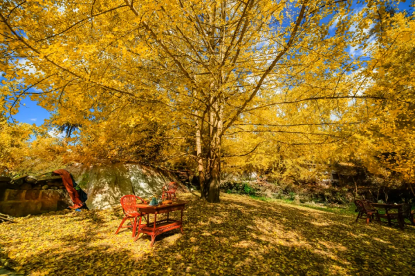 太美了!10個愈秋愈美的小眾旅行地,錯過只能再等一年 太美了!10個愈秋愈美的小眾旅行地,錯過只能再等一年