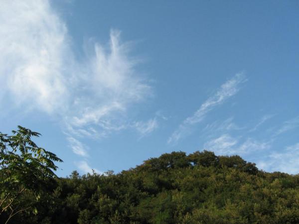 我的驢行日記——新密野葡萄溝 我的驢行日記——新密野葡萄溝