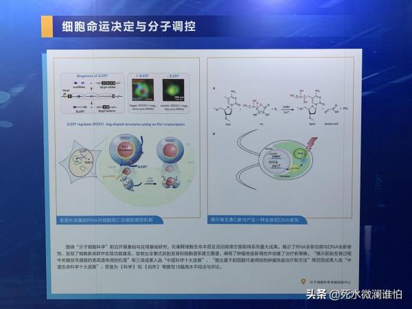 鯤鵬計算產業生態科技展 鯤鵬計算產業生態科技展