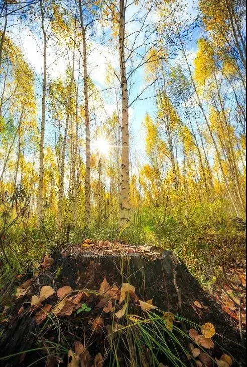 國內最美的12個旅行地,去過10個就是旅行達人,你去過幾個? 國內最美的12個旅行地,去過10個就是旅行達人,你去過幾個?