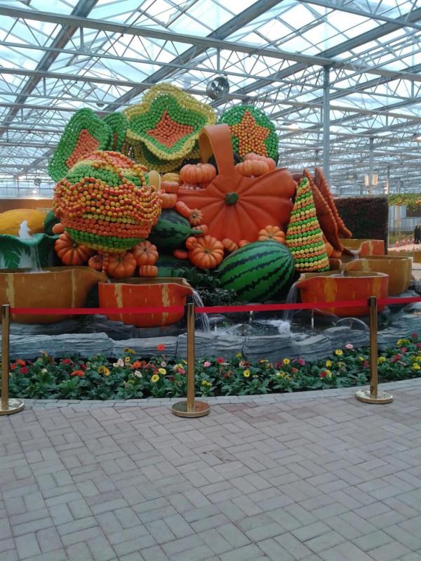 五彩田園，美麗的田園