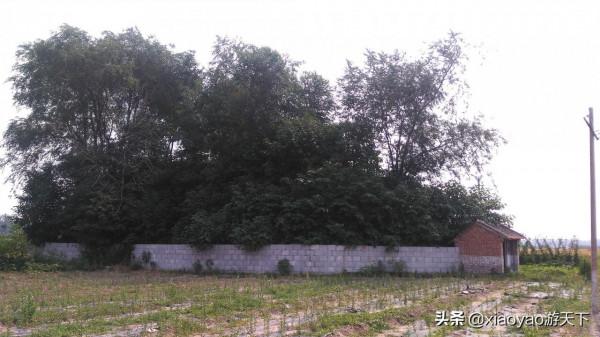 兩千年前劉邦登基稱帝的地方，會是現在山東定陶的這處土堌堆嗎？