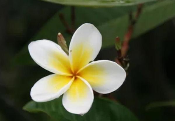 人品極差的人，在微信上，有4個明顯的特徵