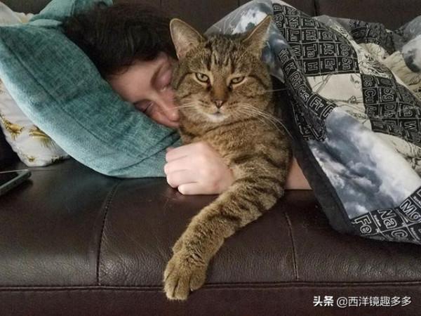 這些愛爭寵的寵物,滿滿的都是戲 這些愛爭寵的寵物,滿滿的都是戲