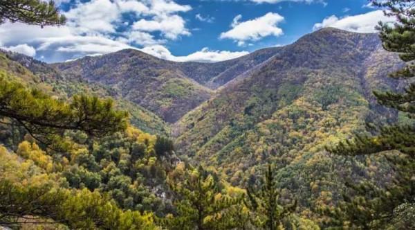 講真！今天出遊最明智，不堵！且為您選好了路線……