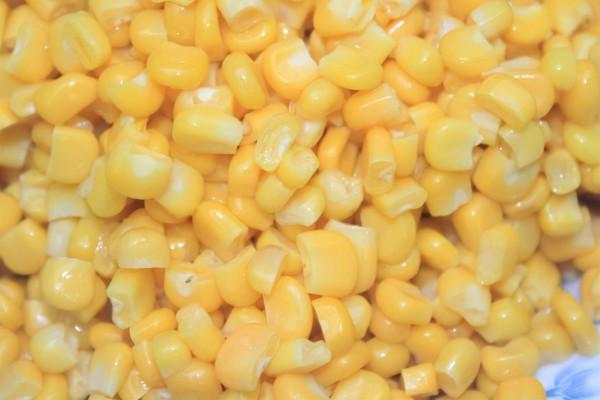 釣法彈簧釣你知多少，簡單易學，一人可釣多竿輕鬆上魚