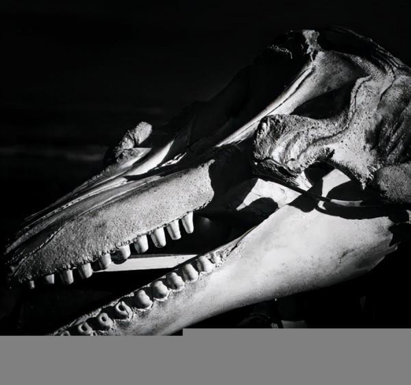 親子 | 超級英雄遊戲、鬼城日、摘南瓜......這個週末去哪嗨？