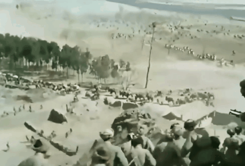 認為東野的縱隊只相當於一個師，國軍的“迷之自信”有多強？