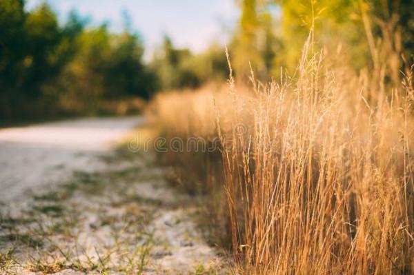 你的面相，就是你靈魂的模樣