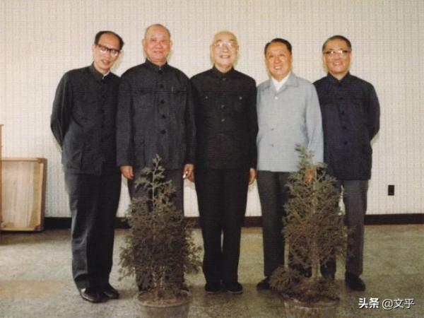 一代醫學巨擘黃家駟：醫道垂世，母親撫養成人，包辦婚姻美滿 (下)