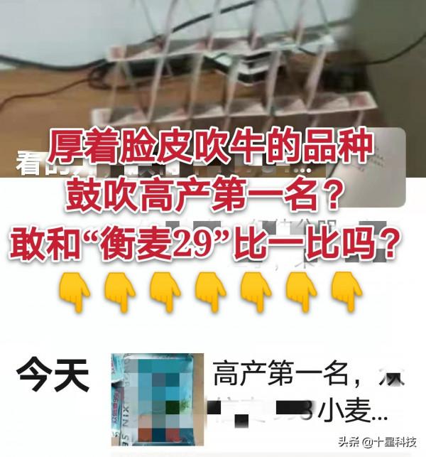 小麥品種:只吹噓高產,卻不說施肥量,都是騙子“耍流氓” 小麥品種:只吹噓高產,卻不說施肥量,都是騙子“耍流氓”