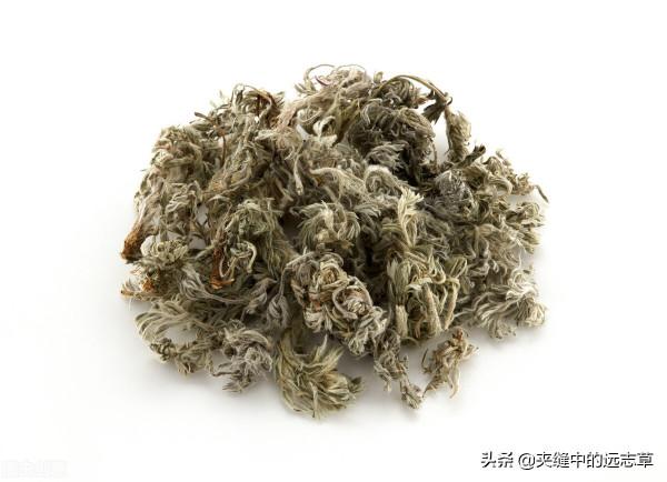 脂肪肝？送你七味中藥，清熱利溼，健脾祛痰