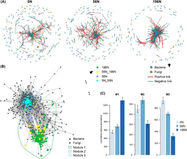 長期過量施用氮肥增加了土壤微生物群落對季節變化的敏感性