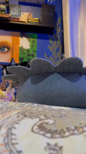 因為長了嘴一字胡，奶牛貓無人領養，卻因禍得福成了網紅