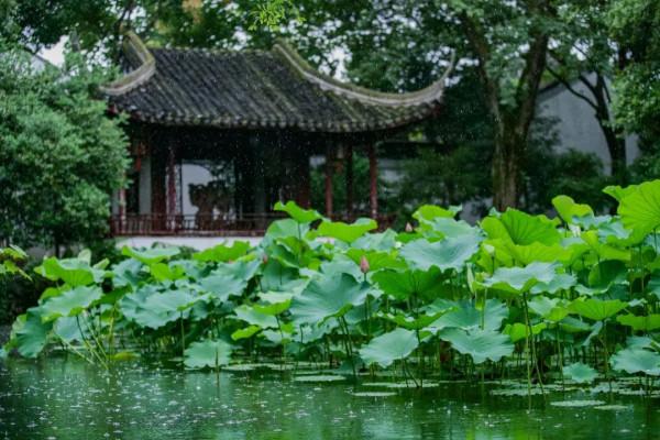 蘇州夏季旅遊有哪些值得去的地方?最全旅遊攻略,只看這篇就夠 蘇州夏季旅遊有哪些值得去的地方?最全旅遊攻略,只看這篇就夠