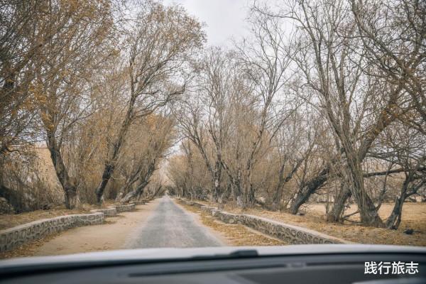 新疆邊境之城塔縣,和阿富汗僅一山之隔,是白人聚集地 新疆邊境之城塔縣,和阿富汗僅一山之隔,是白人聚集地