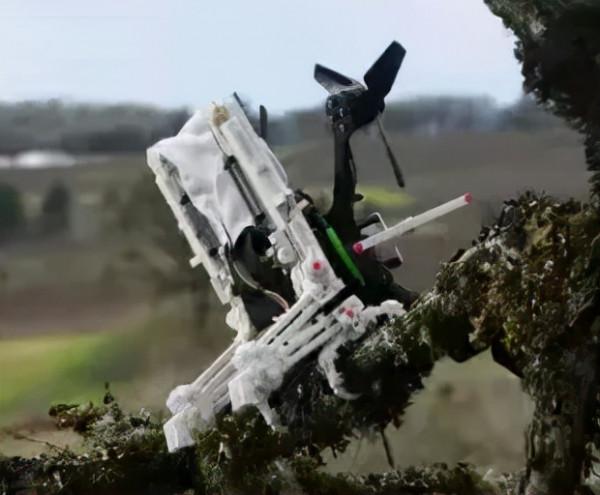 像毛毛蟲一樣爬上牆，上交大新型軟體機器人可以水平垂直過渡移動