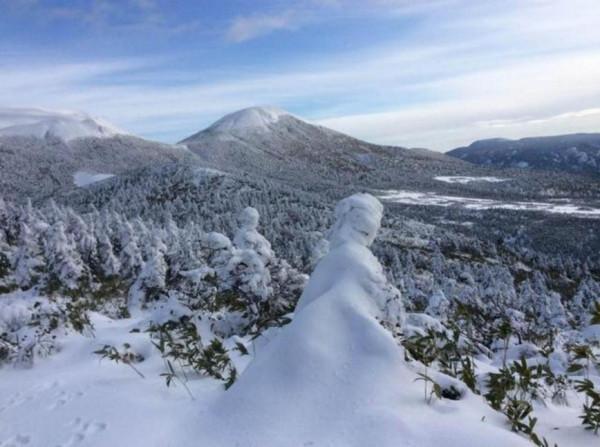 210名日本士兵進山訓練，幾天後僅剩11人倖存，發生了什麼