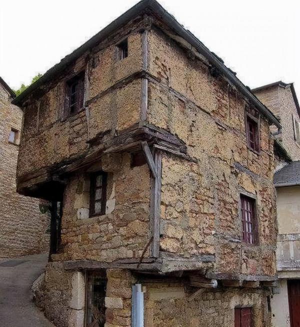 33張罕見的照片,白鸛把孩子從高空扔出巢穴,滑鼠手機你見過嗎? 33張罕見的照片,白鸛把孩子從高空扔出巢穴,滑鼠手機你見過嗎?