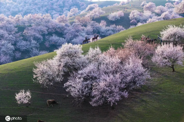 國內最容易出片的12個地方，風景如畫，隨手一拍都是大片