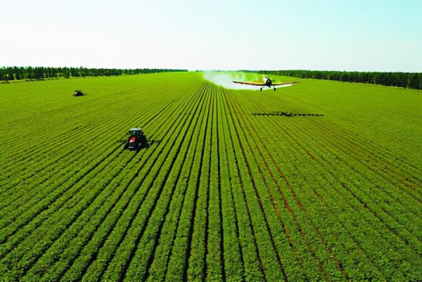 二戰結束後，日本軍隊撤出中國，留下百萬日本女性，中國如何處理