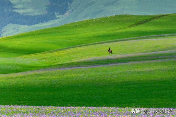 2017年5月26日 新疆喀拉峻大草原