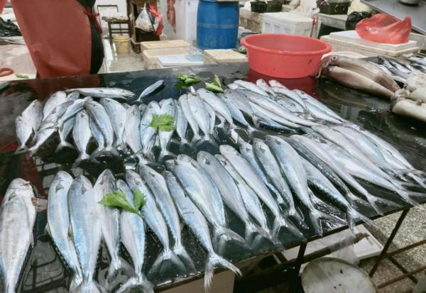 11月，遇到這5種魚別手軟！肉肥美，富含腦黃金，孩子老人要多吃