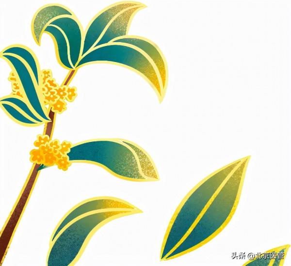 冬季面板乾燥怎麼辦？藥師推薦這幾款中藥