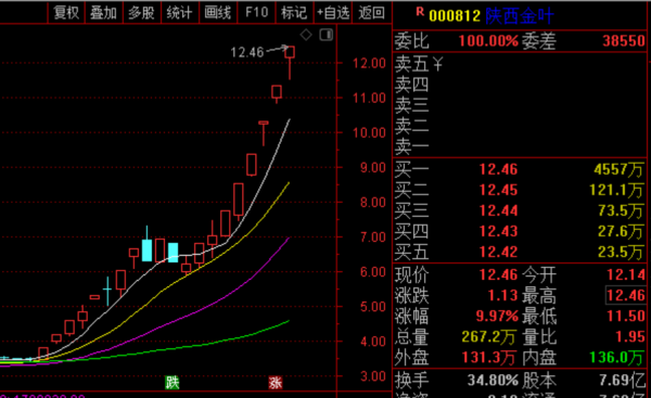 鋰電龍頭蒸發2000億！沒有永遠的神