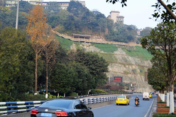 我國有一座城市沒有共享單車，你知道是哪個城市嗎？