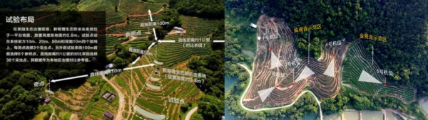 這款兵工“黑科技”，可用於安防，還能精準滅殺農業害蟲