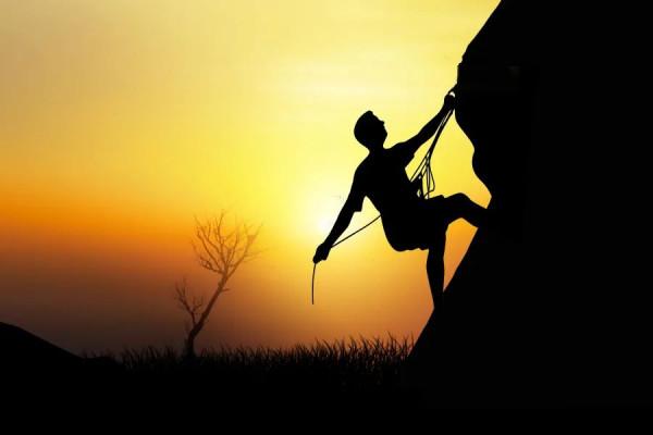 2月17日茅臺行情價