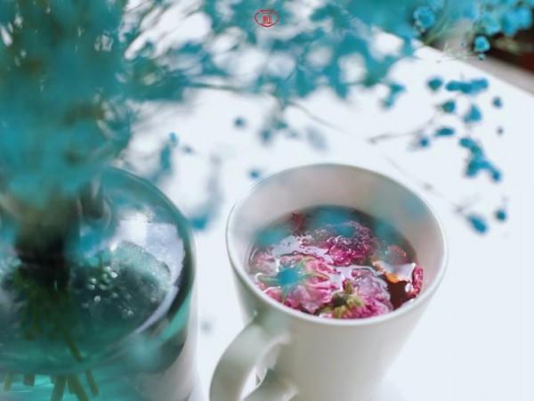 我的天哪,莫干山下的農民房都變成這樣了,城裡人卻喜歡來湊熱鬧 我的天哪,莫干山下的農民房都變成這樣了,城裡人卻喜歡來湊熱鬧