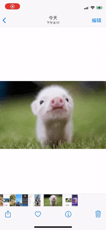 用了5年iPhone，才知道「相簿」能這樣玩