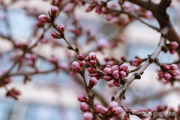 我們是沉穩深情的金牛座，請相信我們的努力終有回報