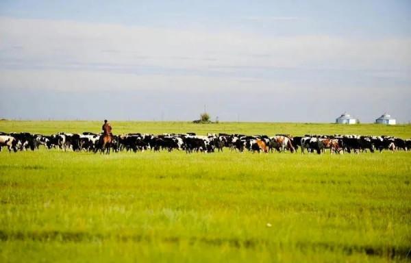 分享：內蒙大草原，一望無垠，沃野千里，萬馬奔騰，壯觀