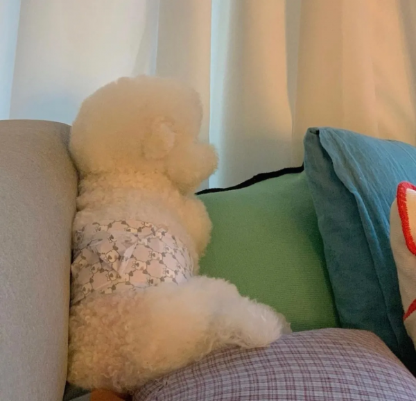 速速get小新同款臉蛋子,好想rua,好想捏啊 速速get小新同款臉蛋子,好想rua,好想捏啊