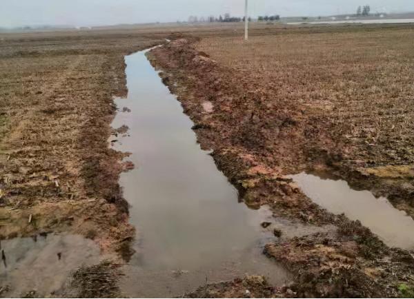 河南農業專家：小麥播種晚了，選種、播種量、施肥這樣辦