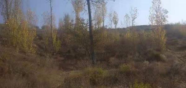 困在光伏裡的老人:失去土地痛罵“敗家子”拿出養老本還貸 困在光伏裡的老人:失去土地痛罵“敗家子”拿出養老本還貸