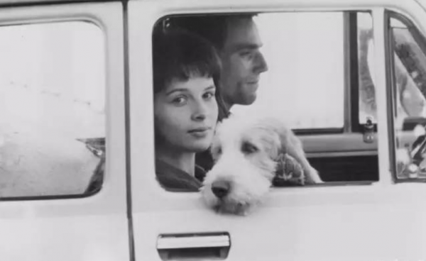 《生命不能承受之輕》：愛情的本質，是陪伴是需要是給予