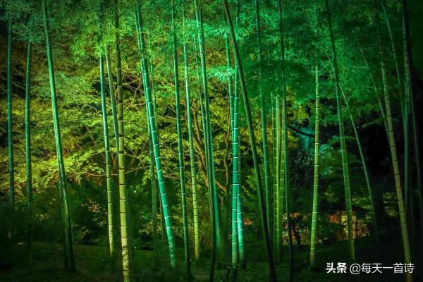 民間力量,中國實力詩人,河南詩人:竹林居士 民間力量,中國實力詩人,河南詩人:竹林居士