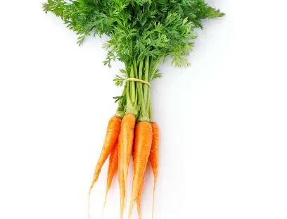 這幾種蔬菜被稱為“補血菜”,陽臺盆栽上幾盆,足足能吃一年 這幾種蔬菜被稱為“補血菜”,陽臺盆栽上幾盆,足足能吃一年