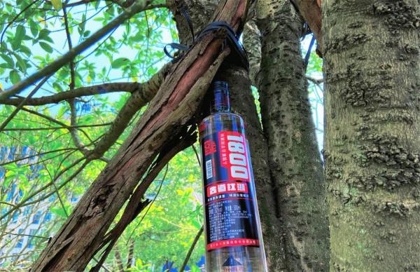 工資低喝不到好酒？這7款“雞肋價位”的白酒，適合老百姓自飲