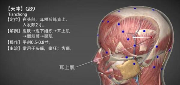 天衝穴—緩解頭痛牙齦腫痛