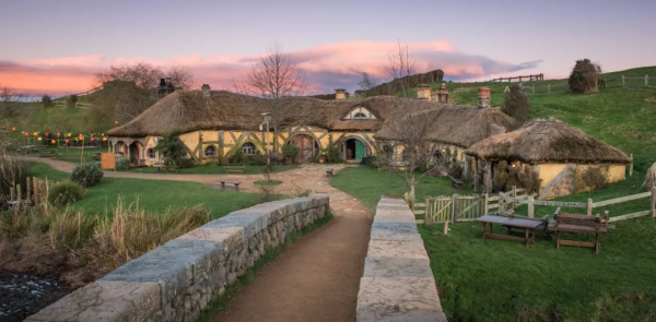 這誰敢相信：在紐西蘭，一頭海豹竟然遊進了旅遊勝地霍比屯