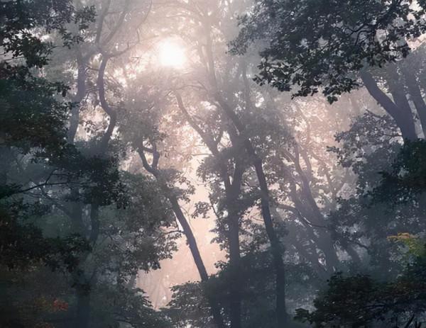 賞花,賞月,賞秋天,必看 賞花,賞月,賞秋天,必看